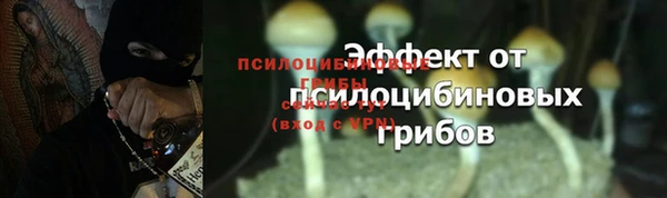 тгк Домодедово