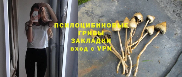 тгк Домодедово