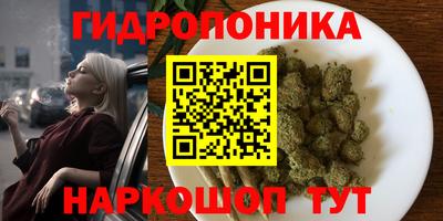 стаф Волжский