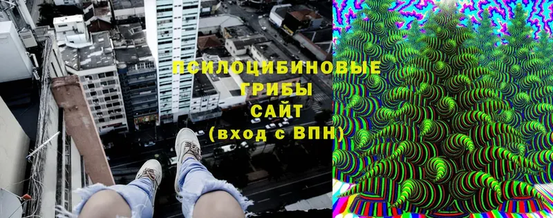 Галлюциногенные грибы мухоморы  Губаха 