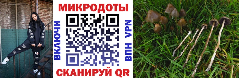 Псилоцибиновые грибы прущие грибы  Губаха 