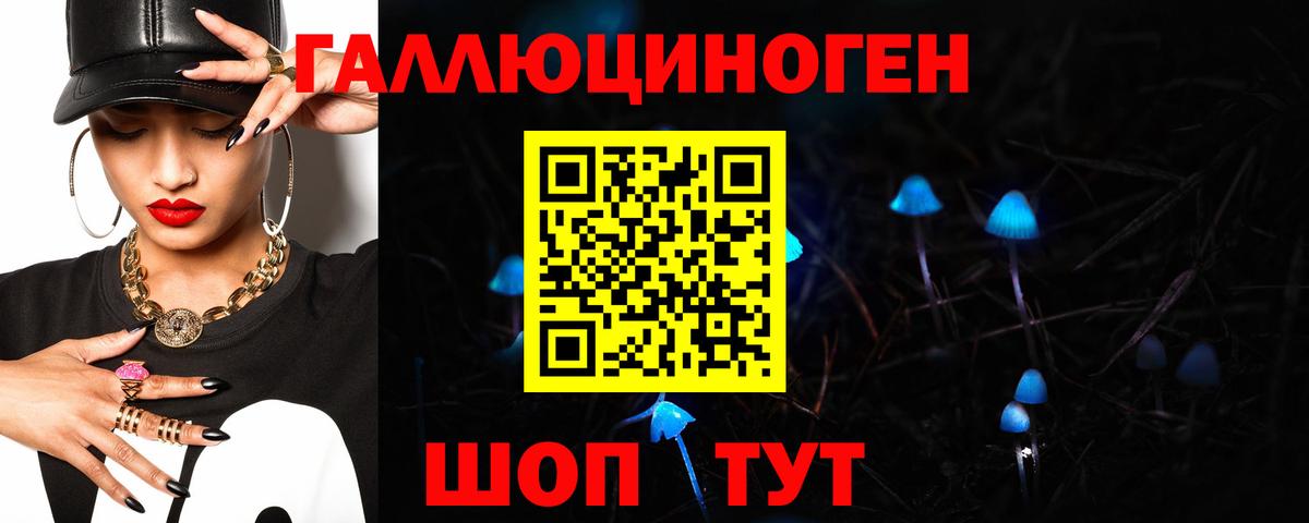 Губаха  Псилоцибиновые грибы Magic Shrooms  Вход с VPN 