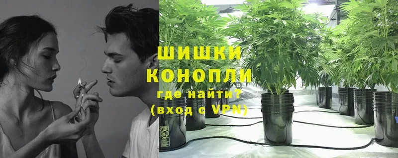 Конопля ГИДРОПОН  Губаха 